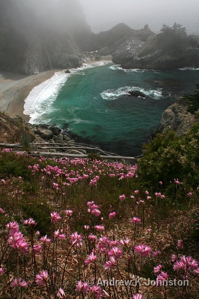 IMG_5922 adjusted.jpg - Julia Pfeiffer-Burns State Park, on the Big Sur Coast